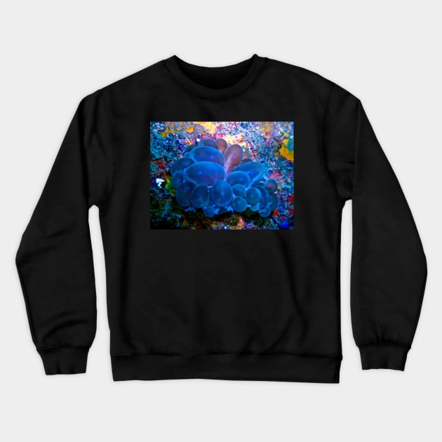 Bubble Coral Blues! Crewneck Sweatshirt by dumbodancer